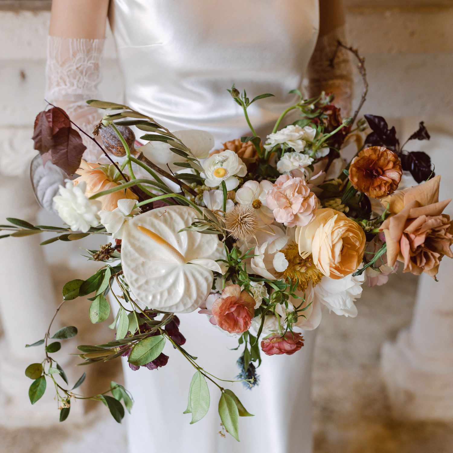 Catalog Image